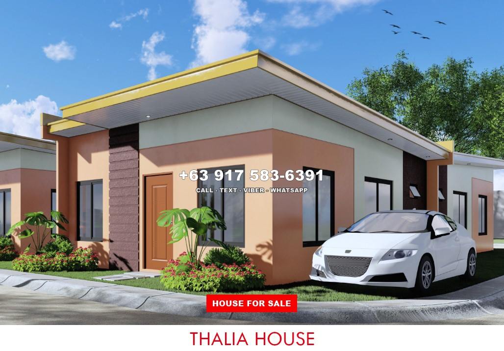 Thalia - Affordable House in Alaminos, Pangasinan